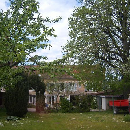 Gite Du Vieux Tilleul Fère-en-Tardenois Kültér fotó